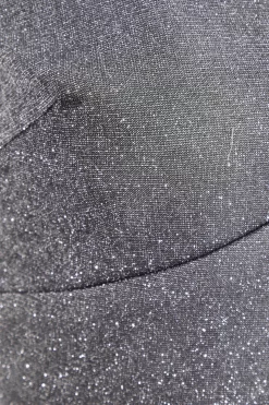 Silver Glitter Crop Top 11 Silver Glitter Crop Top -Women Clothing Sale 00100035841 ZS scaled