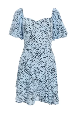 Blue Animal Print Skater Dress