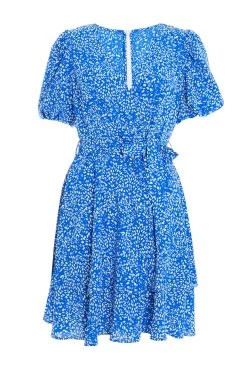 Blue Smudge Animal Print Mini Dress